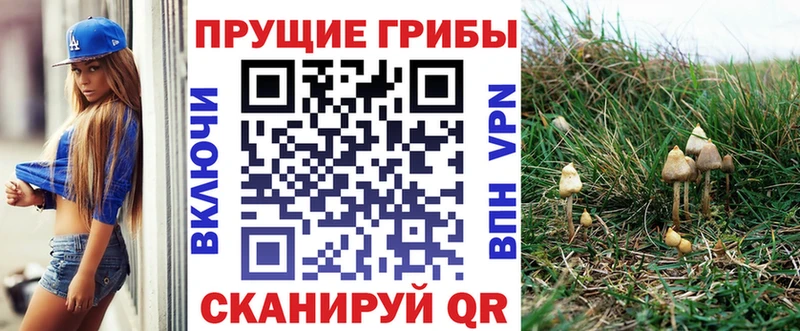 Галлюциногенные грибы мухоморы  Аткарск 